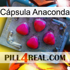 Cápsula Anaconda 13